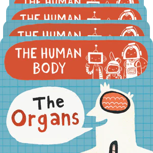BrainBots: The Human Body